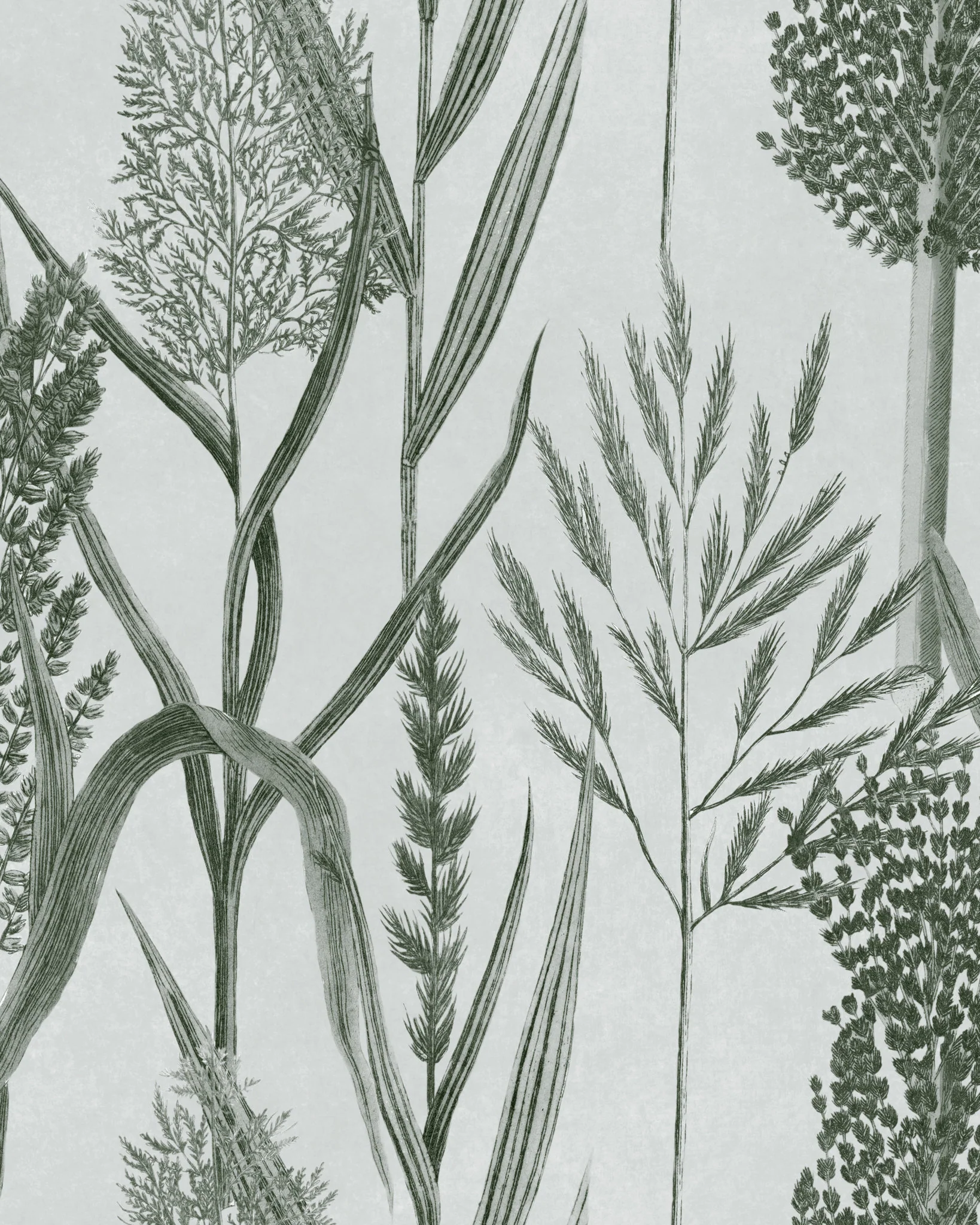 MindtheGap RIVERSIDE FLORA Offwhite WP30165 Wallpaper - Image 2
