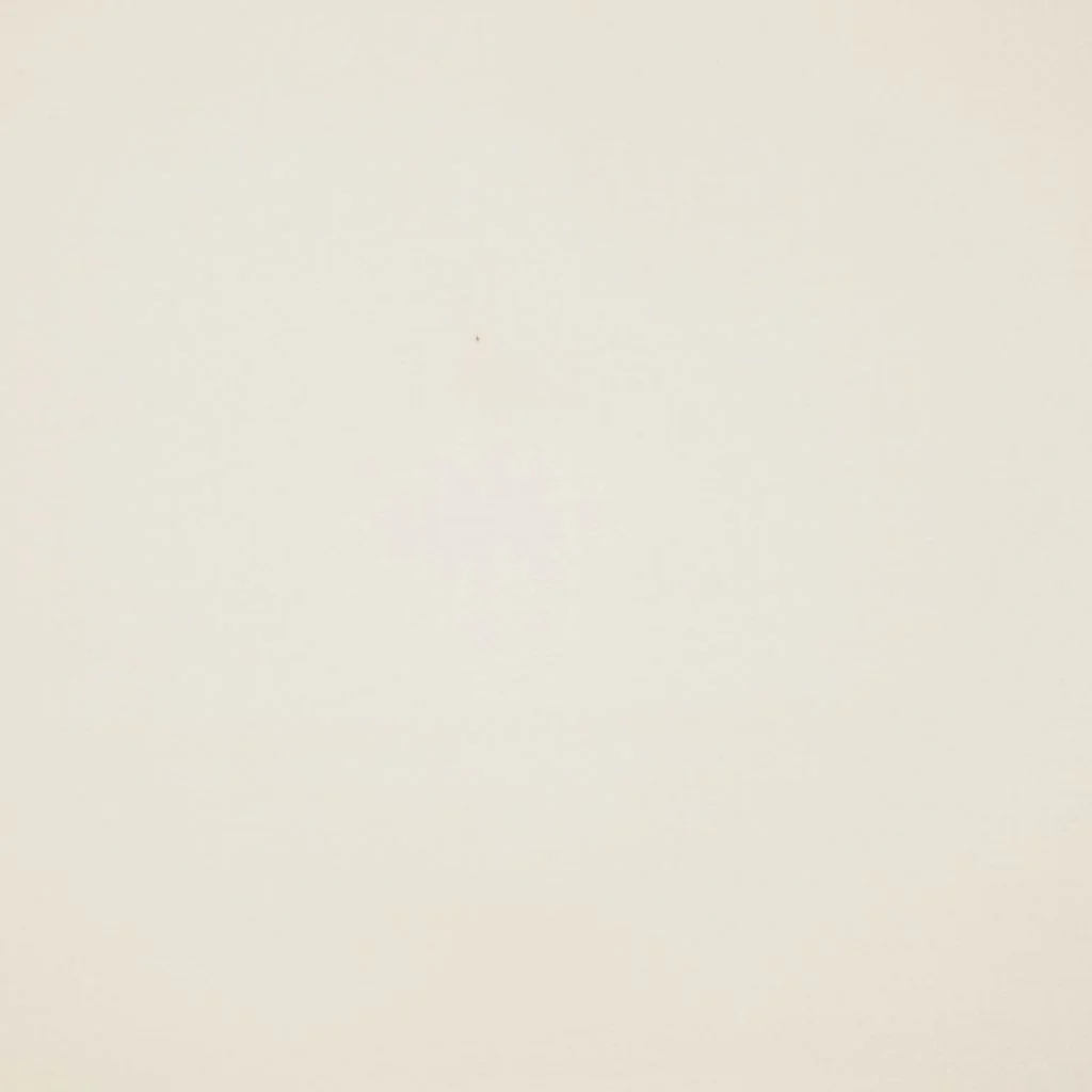 RM Coco PLATINUM PARCHMENT 124136 Fabric