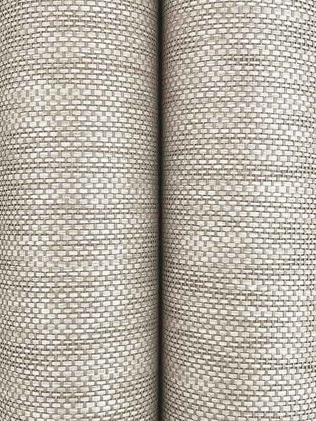 Ronald Redding GRL88397 Meridian Paperweave Winter Wheat Wallpaper - Image 2