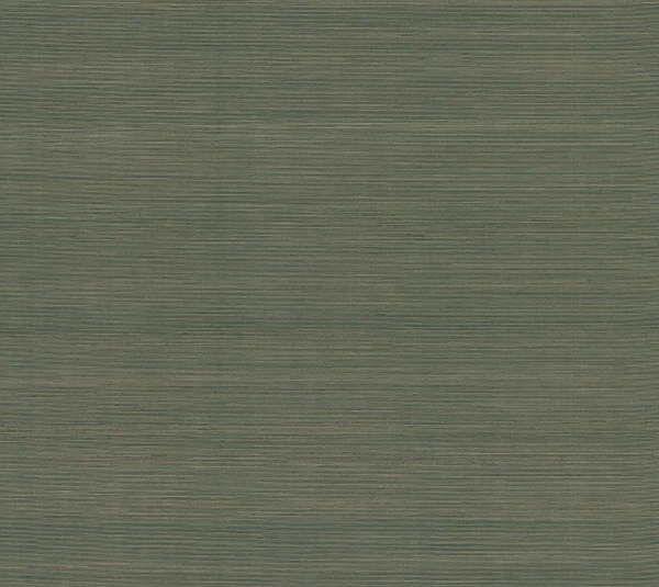 Ronald Redding YGL7092 Smooth Abaca Forest Wallpaper