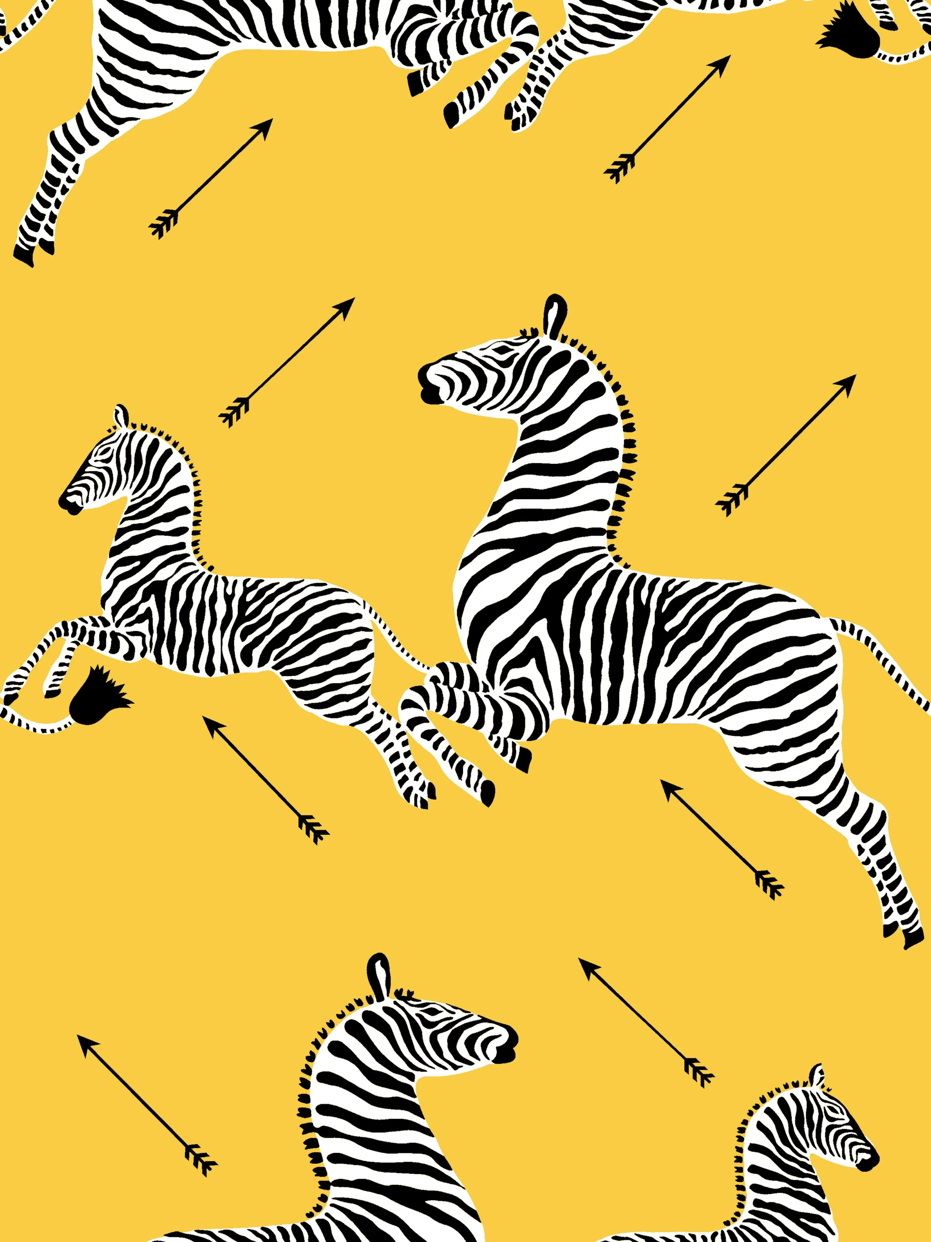 Scalamandre FS30002SCPKZEBR ZEBRAS PILLOW - Image 3