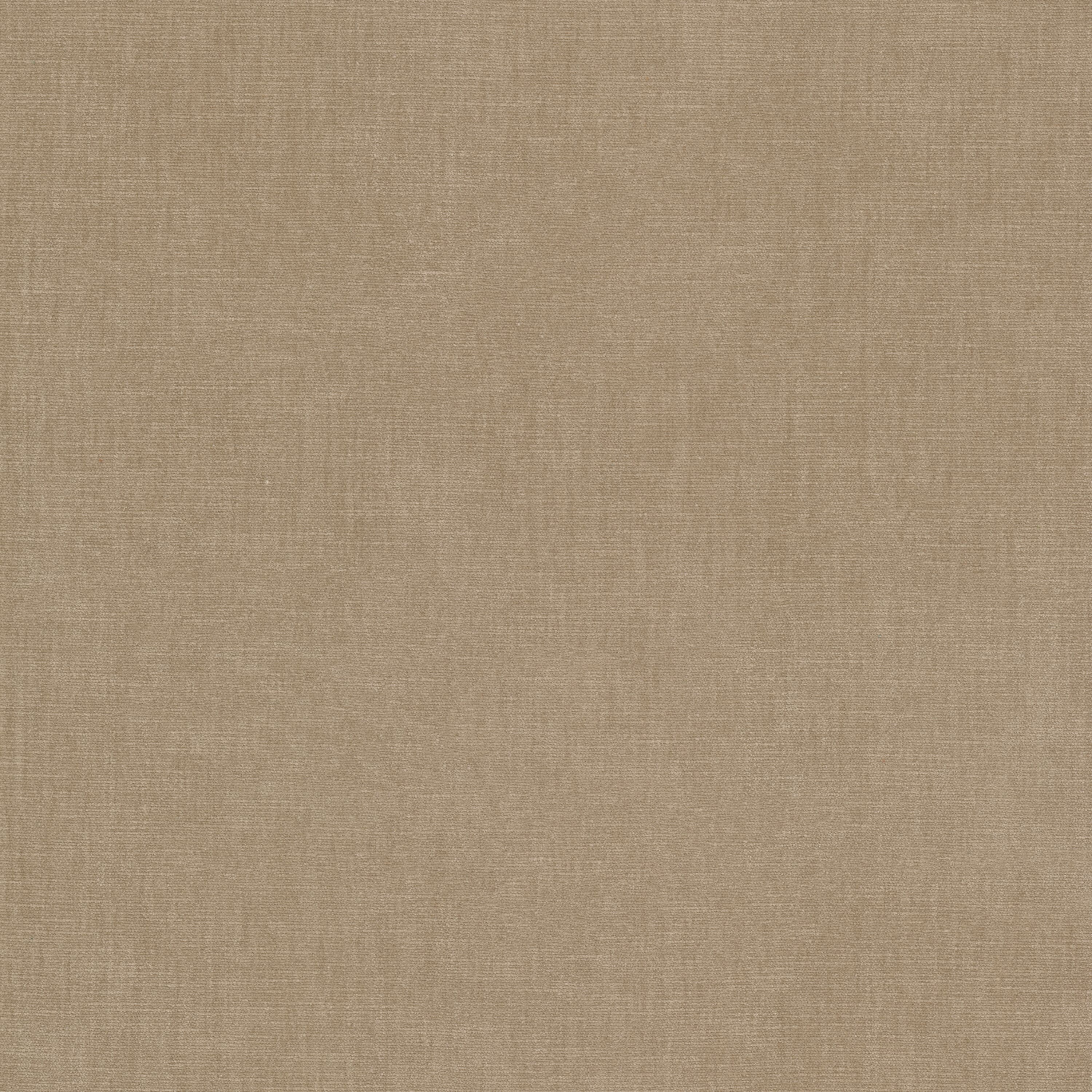 STOUT BOUN-14 BOUNTIFUL 14 CAMEL Fabric
