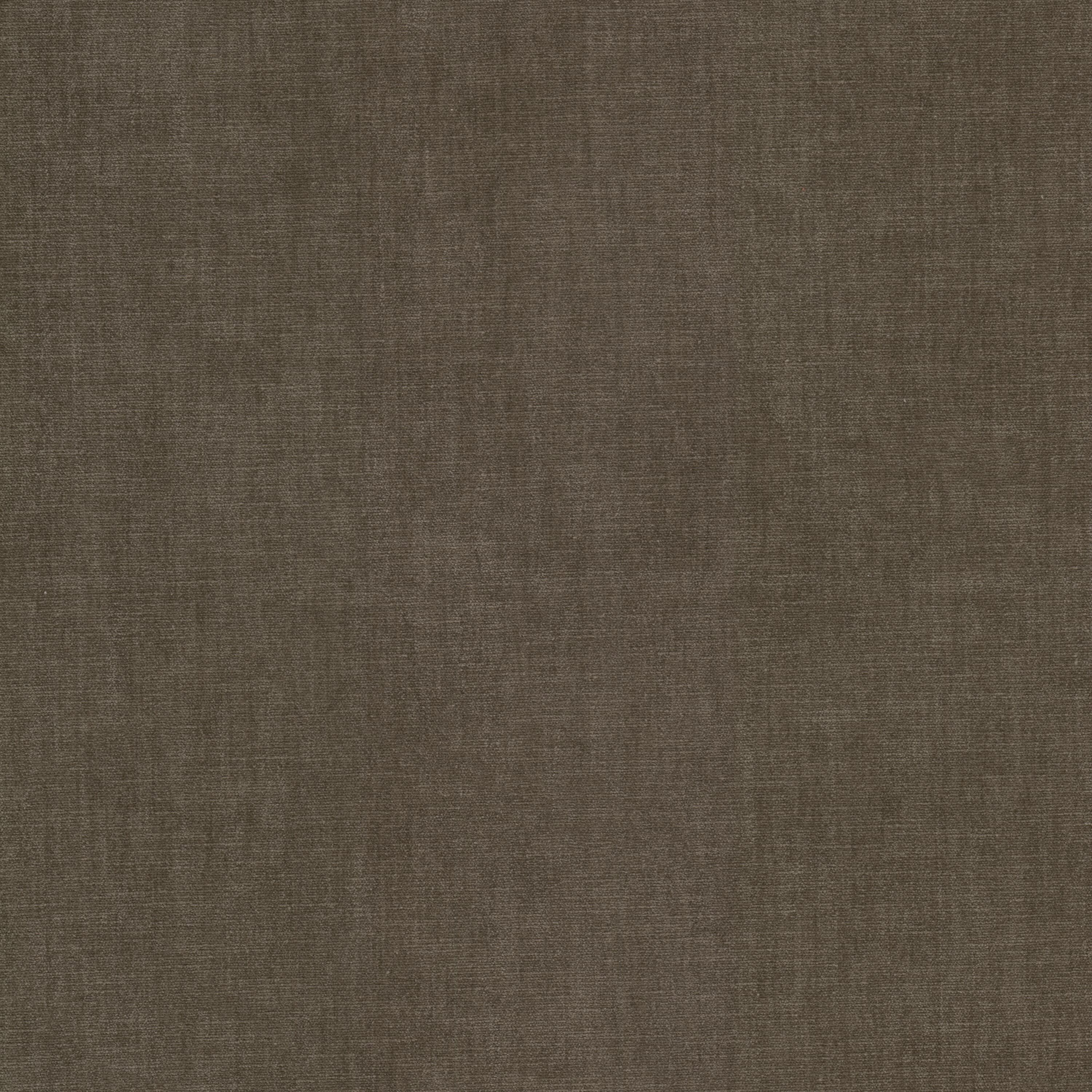 STOUT BOUN-39 BOUNTIFUL 39 TWIG Fabric