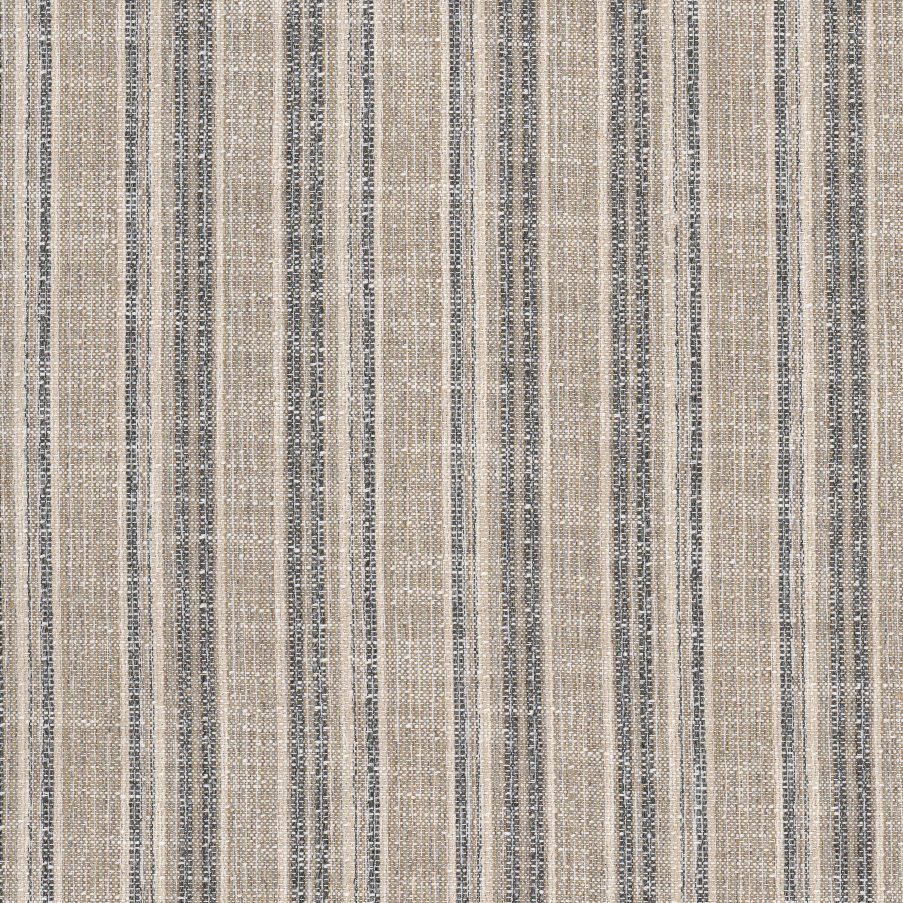 STOUT HASK-1 HASKELL 1 COFFEE Fabric