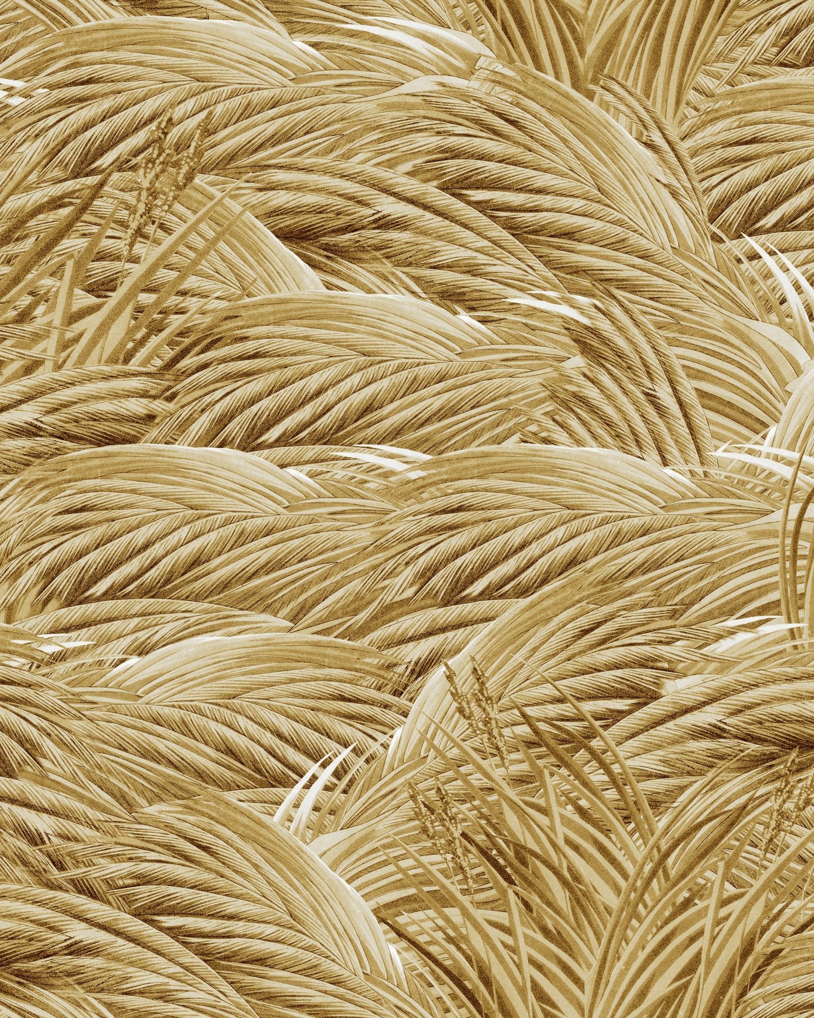 MindtheGap TRIFLORA Autumn WP30167 Wallpaper - Image 2